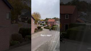 Соседи загорают, а я дома! #голландия #thenetherlands #нидерландцы #holland #nederland #погода