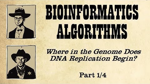 The Search for Hidden Messages in the Replication Origin (Part 1)