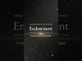 Fondo de Dotación (Endowment)