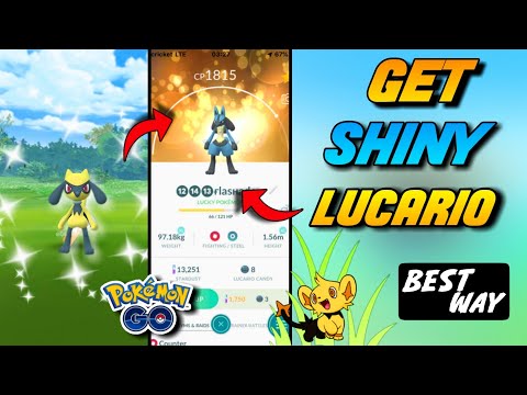 best way to get riolu in pokemon go || how to rare shiny. - YouTube