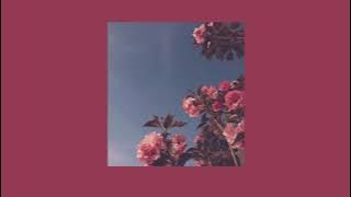 Men I Trust  - Tree Among Shrubs Lyrics