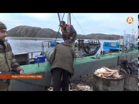 видео задержание браконьеров краб сахалин думал