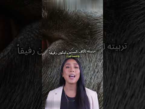 استكشف عائلة الكلبيات المدهشة  العلم