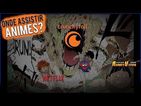 Site de streaming de animes é derrubado após intimação judicial por  pirataria - Canaltech