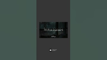 سورة البقرة : ٢٥٥ | محمد رزقا عقيل رمضان #quran #quran_alkarim #سورة_البقرة