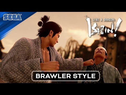 : Brawler Overview