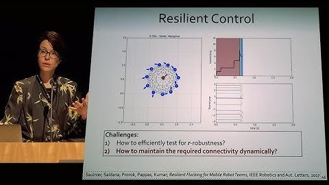 Seminar - Diversity and Resilience in Robot Networks