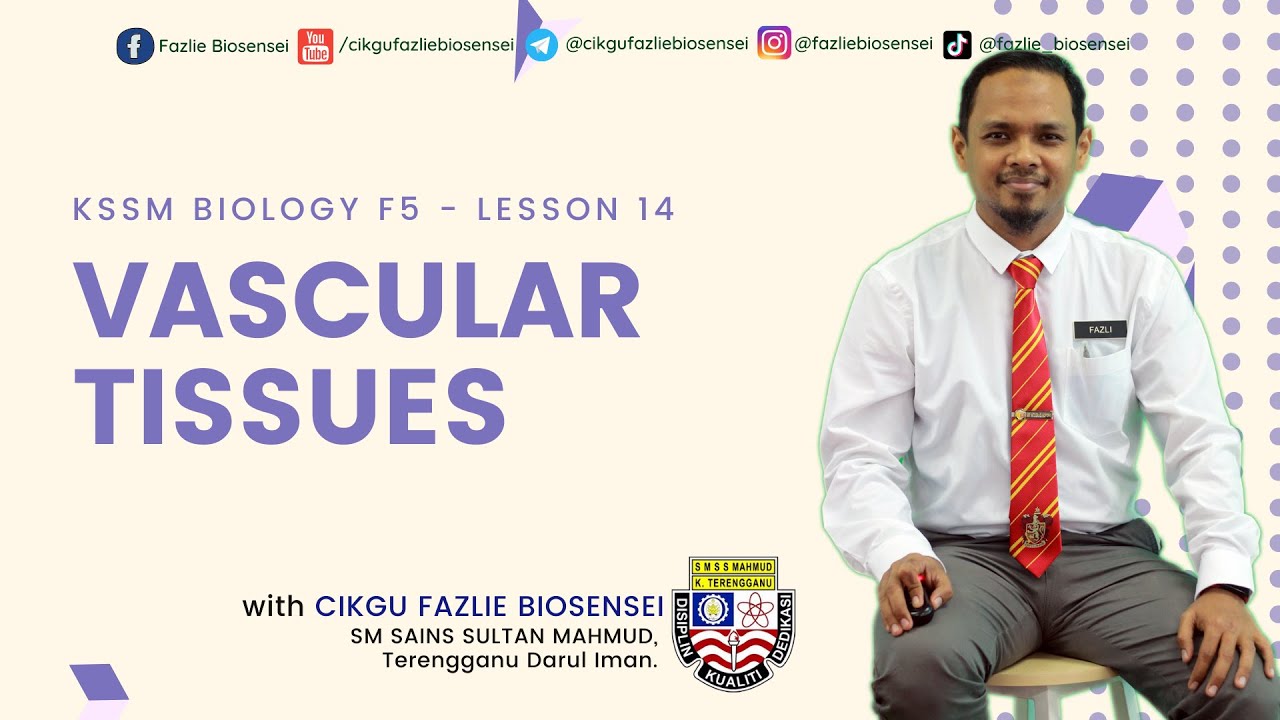 BIOLOGY KSSM F5 :  VASCULAR TISSUES
