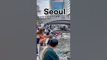 서울 청계천 🇰🇷 | 외국인들이 사랑하는 곳