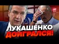 ⚡ЛАТУШКО: Это СТАЛО ИЗВЕСТНО! “Путевка” в ГААГУ для ЛУКАШЕНКО / ТАКОЕ не простят