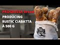 Progressa bread  production de ciabatta rustique  500 g  fritsch