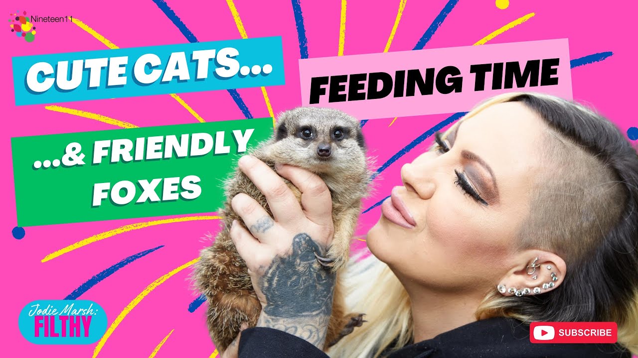 Cute Cats....Feeding Time....& Friendly Foxes - Filthy Ep 43