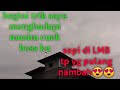 Trik Saya Menghadapi Musim Cuek Lmb Boleh Sepi Asal Yg Pulang Nambah Boss Ku Mp3 - Mp4 Download