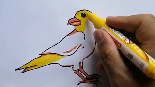 Kanarya çizimi / Kolay çizimler / Kuş çizimi / Adem Eren Çitekçi 👈
