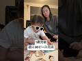 1歳児娘の特技。 #日常 #赤ちゃんのいる生活 #1歳8ヶ月 #shortvideo #1歳 #shorts #アンパンマン