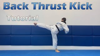 Back Thrust Kick Tutorial