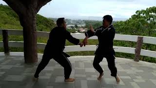 Ofas Philippine Martial Art Multi-Fighting Art