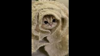 Download lagu 😇Illit - magnetik (speed up)😇