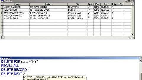 Learn Visual FoxPro @ garfieldhudson.com - Deleting/Recalling Records (Lesson 7 of 30)