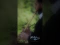 قريبا سلطان قلبي