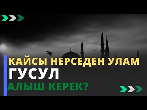 Video: Тишти кайра эмалса болобу?