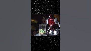 MST3K: Tibby, Oh Tibby 🐢