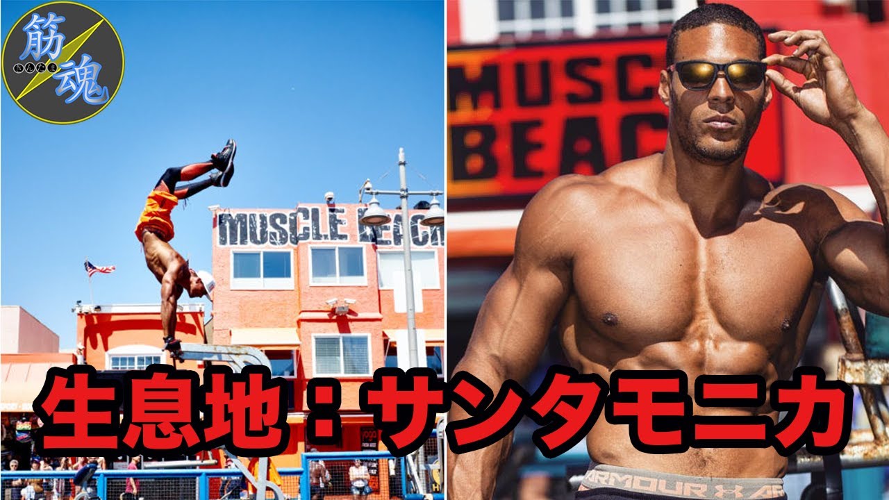 マッスルビーチの主 YouTube