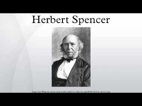 Video: Spencer Herbert: Biografie, Karriere, Privatleben