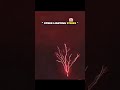 other vs this one. #trending #viral #viralvideo #trendingshortsvideo #videos #like #shorts #short