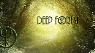 Deep Forest-Sweet Lullaby(Dj Web House Remix)