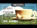 ☕ Гадание на кофейной гуще | Чашка дня | ДоброУтреннийПрогноз🤗🍮20 июня 2023 г.