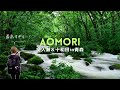 2泊3日で奥入瀬渓流・十和田湖をひとりで大満喫😊🙌【渓流沿いをサイクリング🚲 十和田神社や遊覧船も🚢】