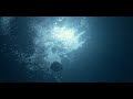 Our Flag Means Death 02x03 β Final scene
