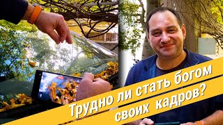 Съемка видео на телефон /// Как художественно создавать в кадре жизнь?