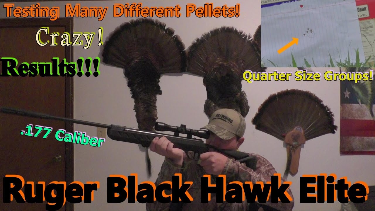 Полный обзор Ruger Black Hawk Elite .177 Caliber. Потрясающие результаты!