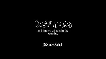 وَمَا تَدْرِي نَفْسٌ بِأَيِّ أَرْضٍ تَمُوتُ ۚ | الشيخ حسن صالح يودع سورة لقمان بخشوع رهيب ❤️