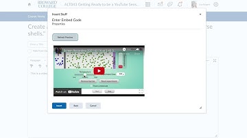 Embed a YouTube video in a D2L webfile html file