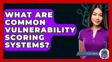 What Are Common Vulnerability Scoring Systems? - Next LVL Programming