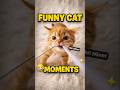 Funny Cat Moments #cat #catbehavior #funny #catpurr #catnoise #catfacts #kitten #catblogger #moments