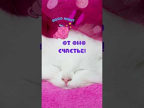 Красивые прикольные поздравления в Международный день счастья🌺