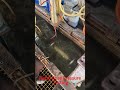 Metal Hose Pressure Testing