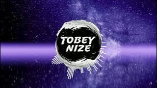 Shawn Mendes - There's Nothing Holding Me Back (TOBEY NIZE REMIX) [HARDSTYLE]