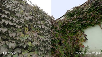 Canon EOS 60D Technicolor Cinestyle + Sony Vegas color grading