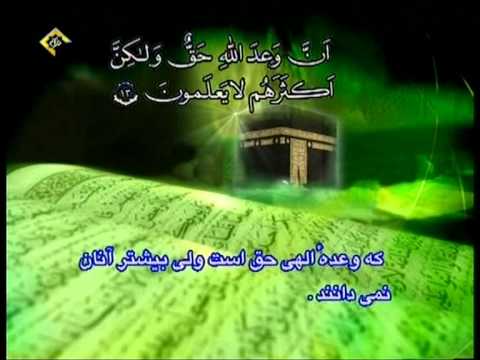 القصص ابو العنين شعشع 