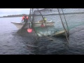 Harvesting pontoon trap for salmon in Ljusne, 2015