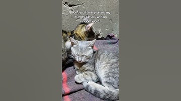 Every bit of your support counts. Click on the links in our bio to donate for any support 🙏