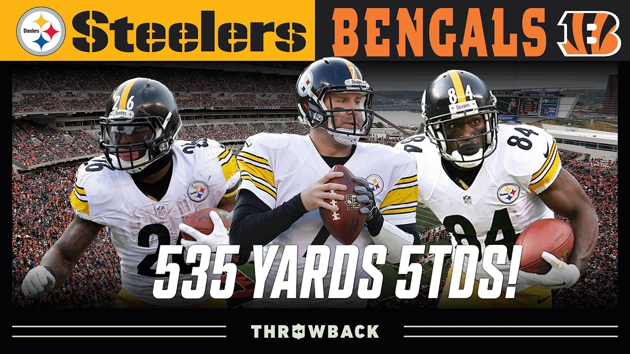 Killer B's DETONATE! (Steelers vs. Bengals 2014, Week 14)