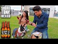 Probando la CERVEZA PARA PERROS que salió en Shark Tank