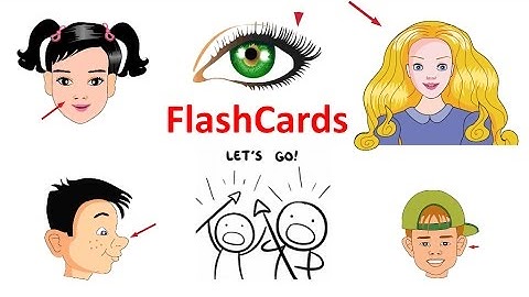 Body | Glenn Doman Flash Cards