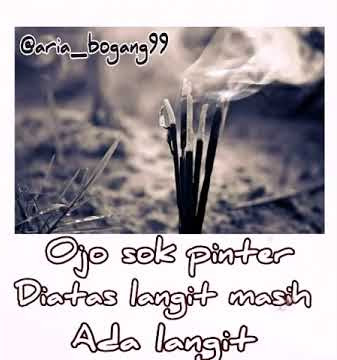 Ojo dadi wong seng rumong so pinter